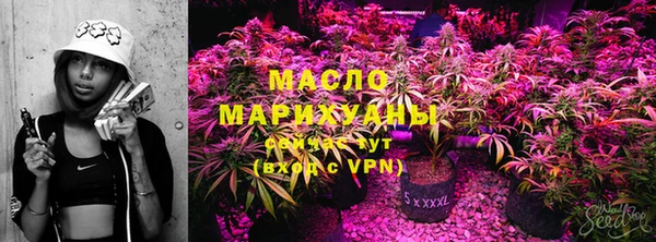 мдпв Магас
