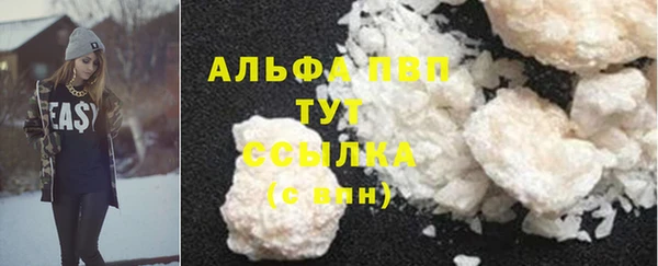 мдпв Магас