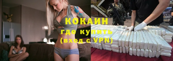 мдпв Магас