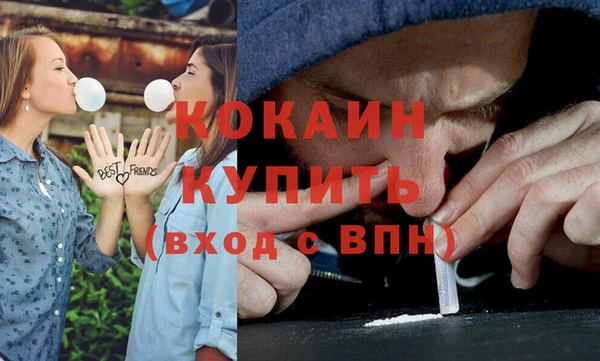 мдпв Магас