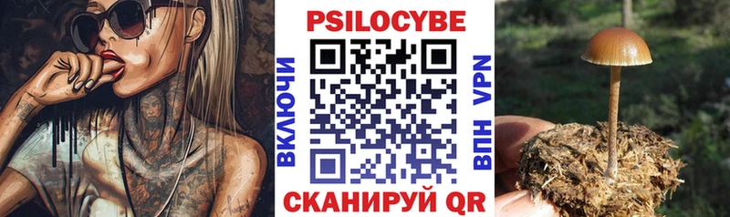 Галлюциногенные грибы мухоморы  даркнет какой сайт  Вичуга  цена  