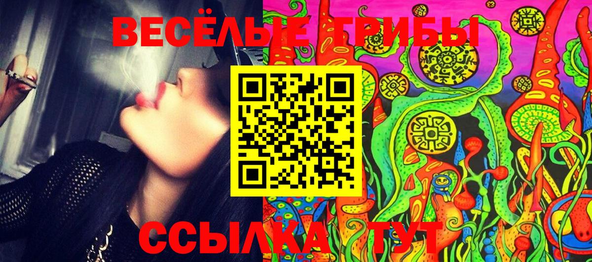 Галлюциногенные грибы мицелий Вичуга