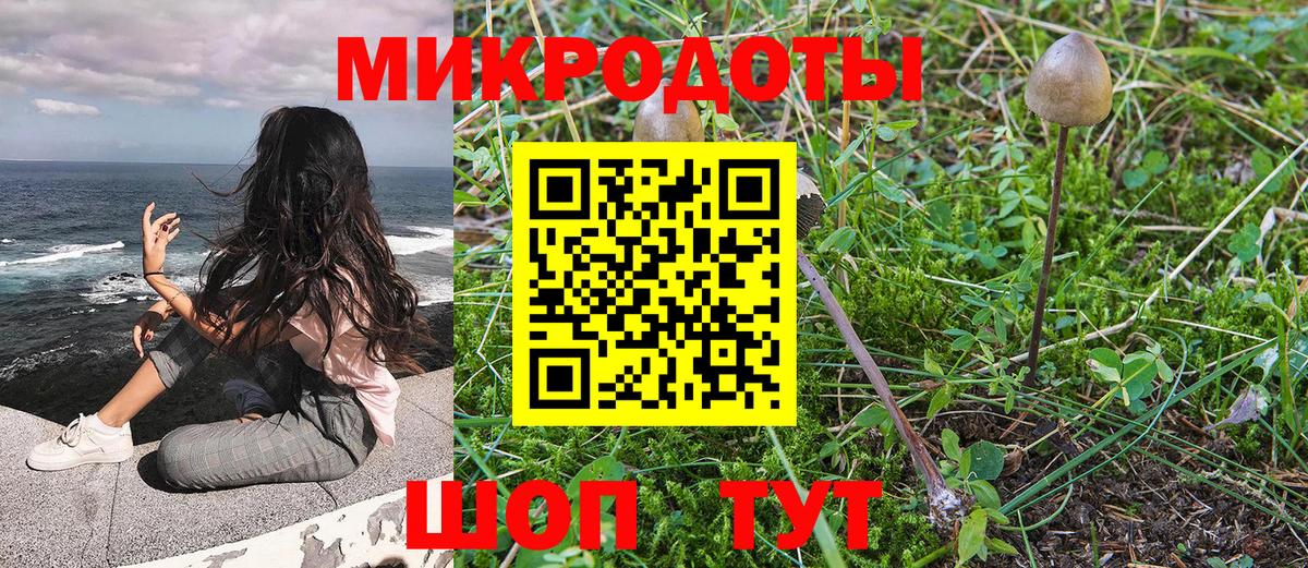 Галлюциногенные грибы Cubensis  Вичуга 