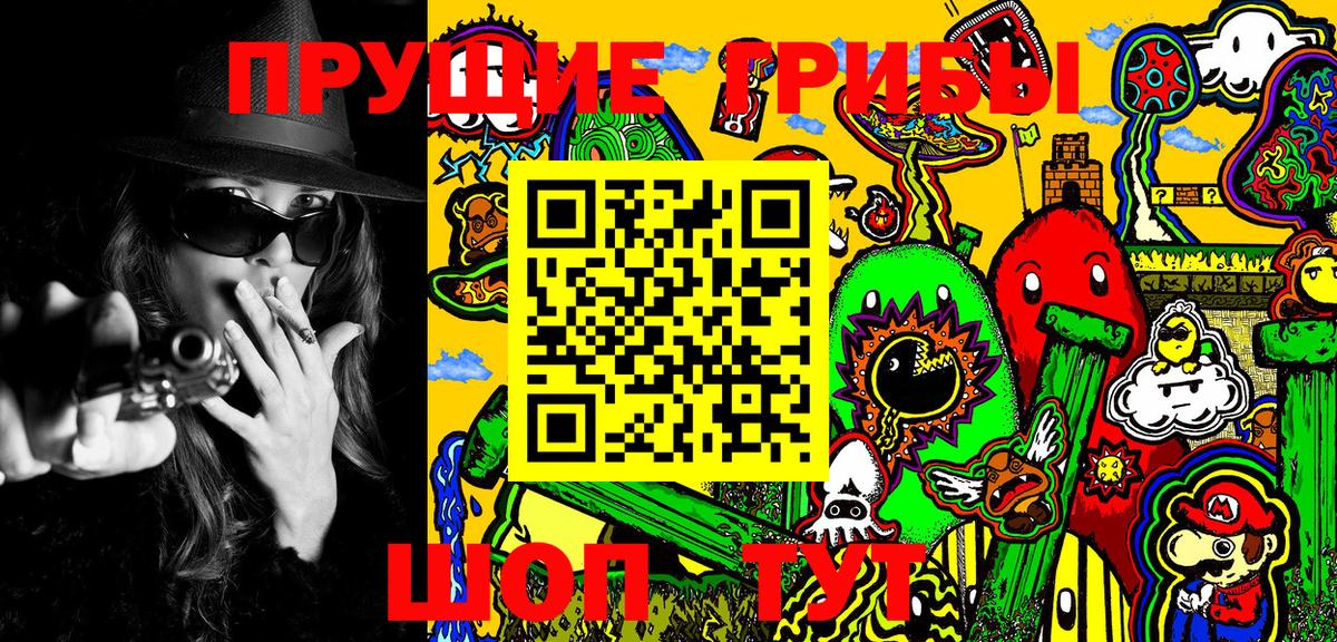Псилоцибиновые грибы MAGIC MUSHROOMS Вичуга