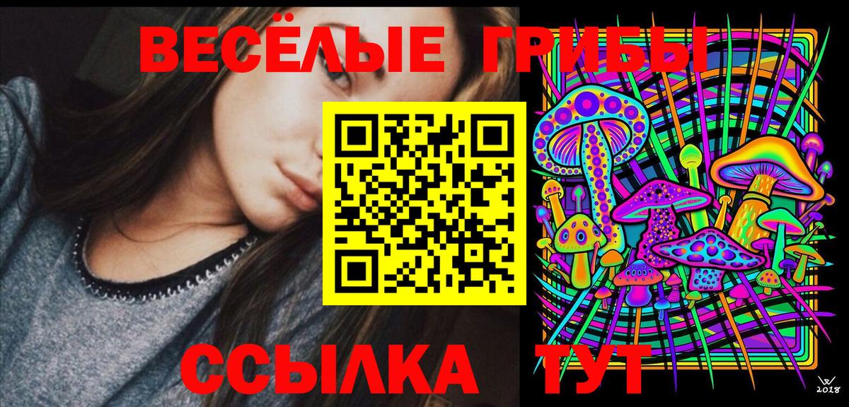 где продают   Псилоцибиновые грибы Psilocybe  Вход с VPN  Псилоцибиновые грибы ЛСД  Вичуга 