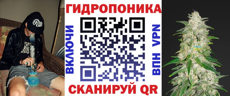 где купить наркотик  Вичуга  Конопля планчик 